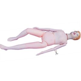Multifunctional Patient Care Manikin
